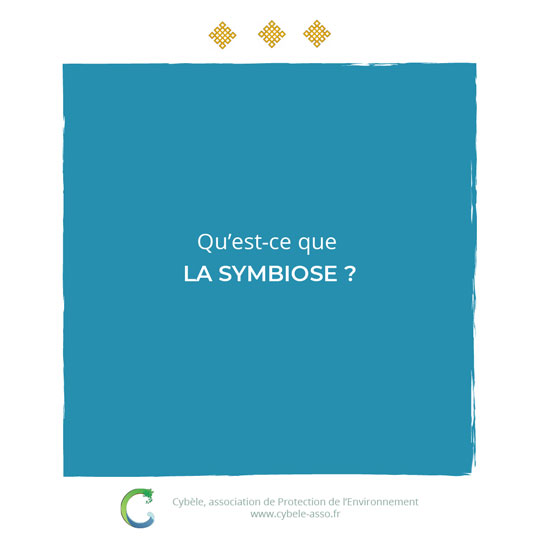 Qu'est-ce que<br/>la symbiose ?