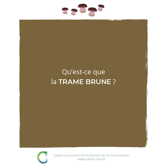 Qu'est-ce que<br/>la trame brune ?