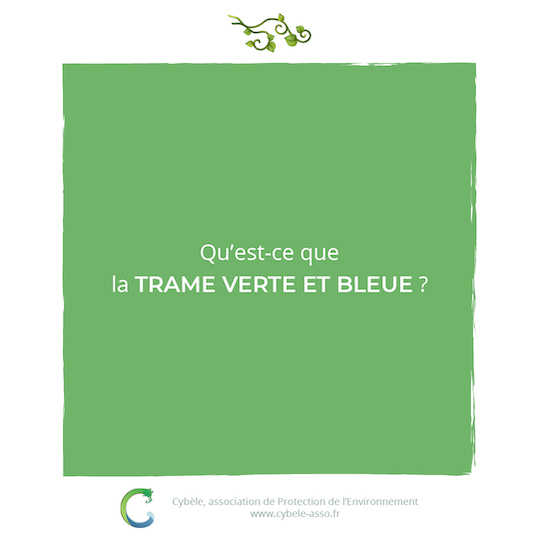 Qu'est-ce que<br/>la trame verte et bleue ?